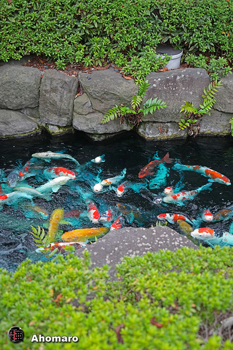 写真00