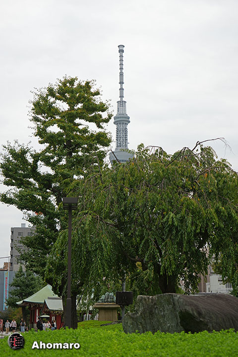 写真00