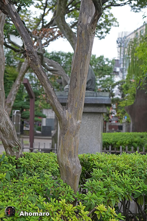 写真00