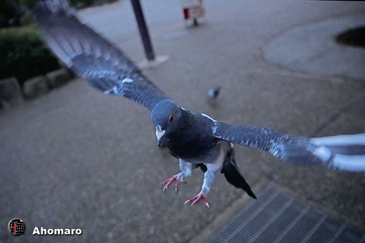 ʐ^00