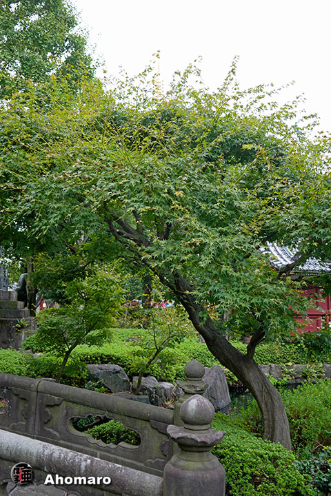 写真00