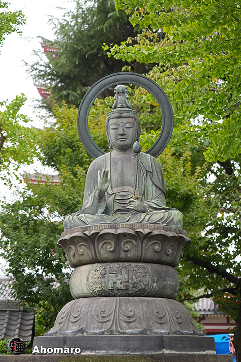 写真00