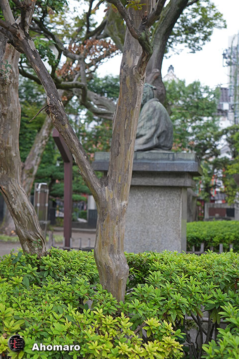 写真00
