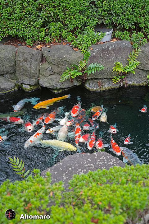 写真00