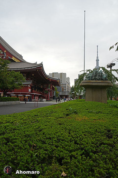 写真00
