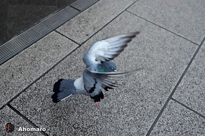 ʐ^00