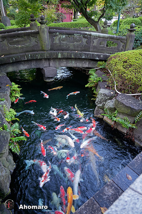 写真00