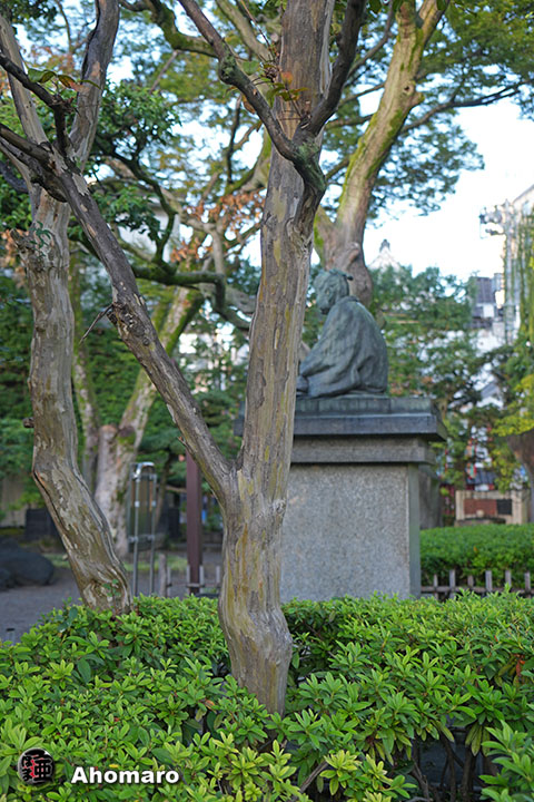 写真00