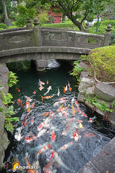 写真00