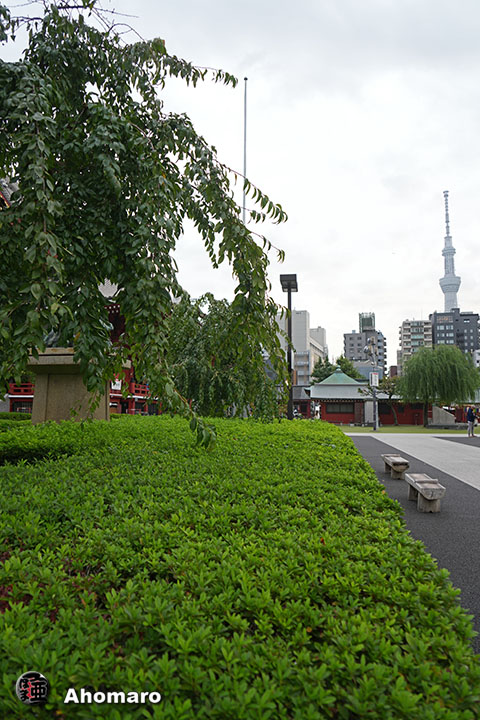 写真00