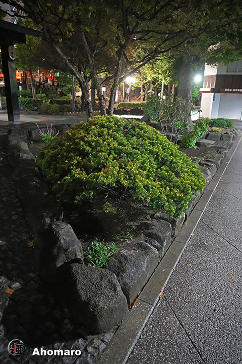 写真00