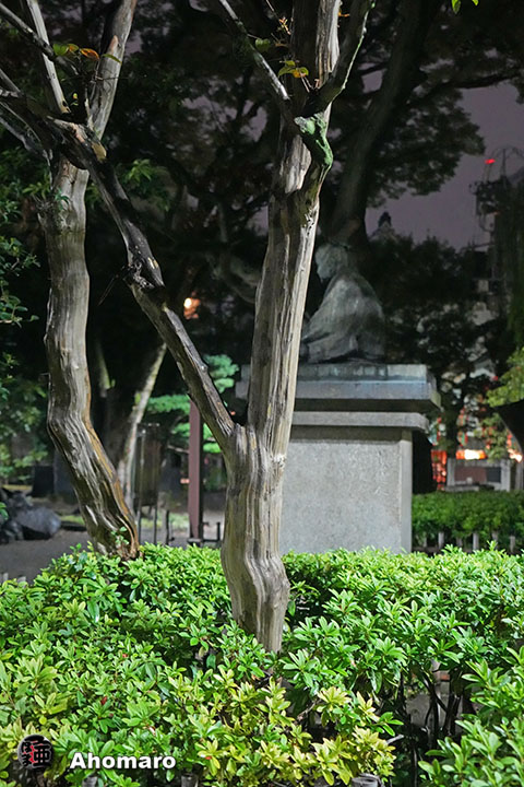 写真00