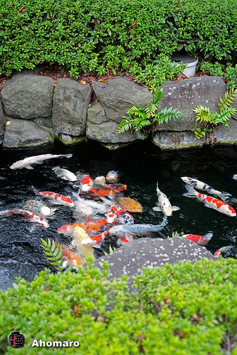 写真00