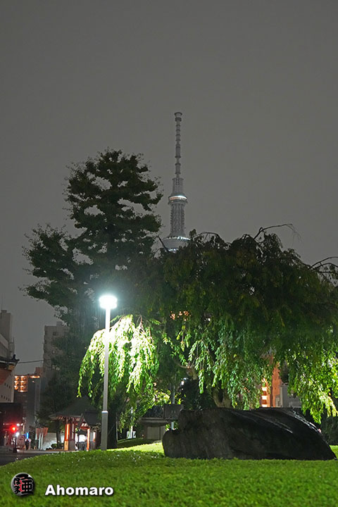 写真00