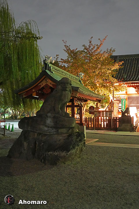 写真00