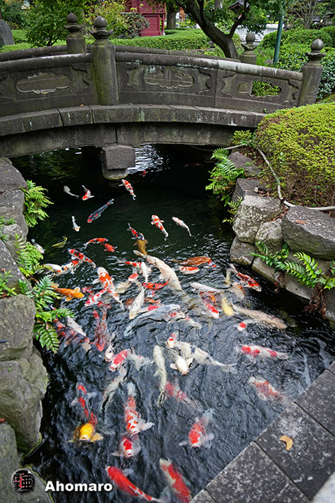 写真00