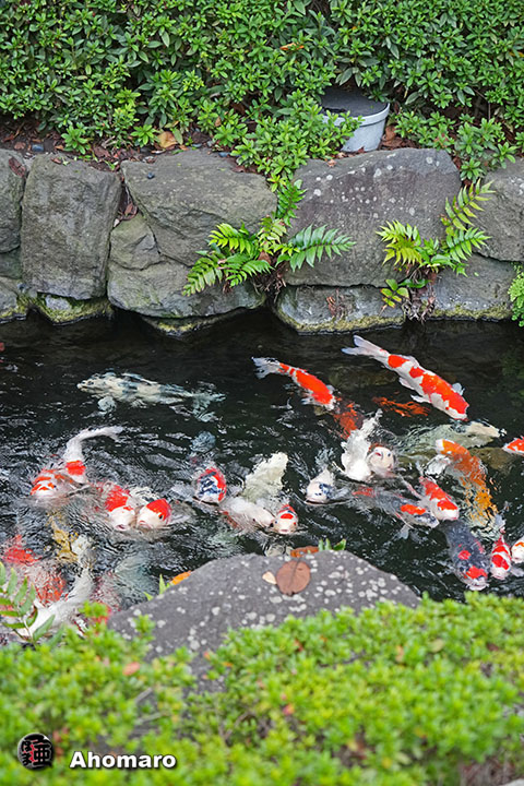 写真00