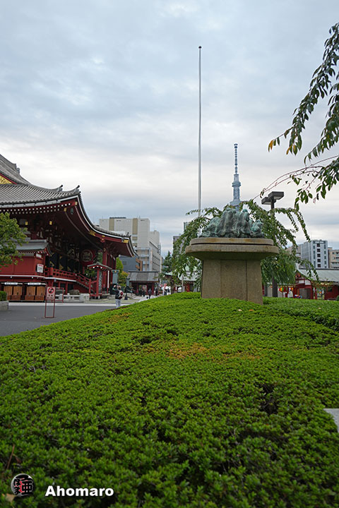 写真00