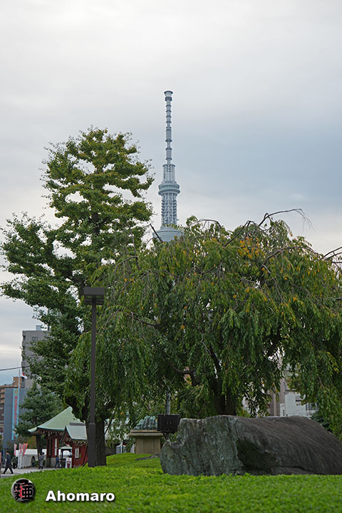 写真00