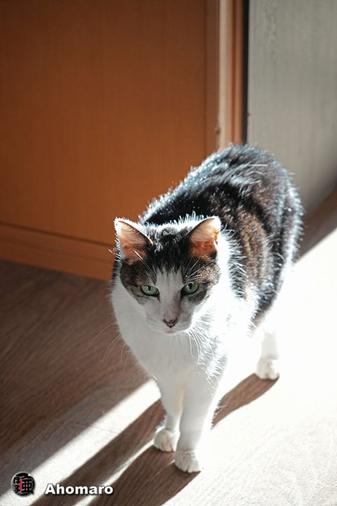 �ʐ^00