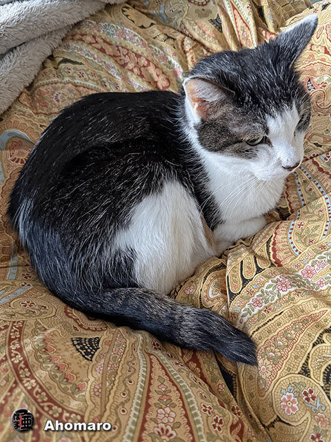 �ʐ^00