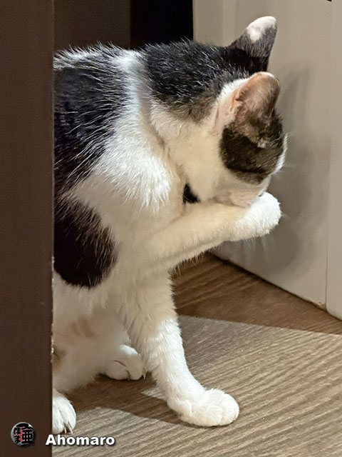 �ʐ^00