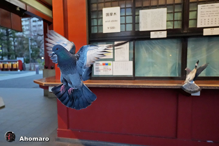 �ʐ^00