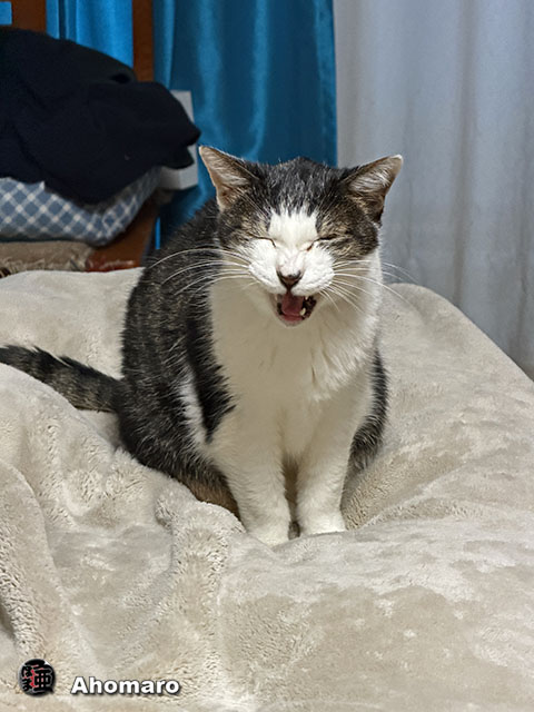 �ʐ^00