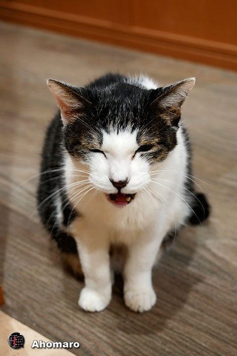 �ʐ^00