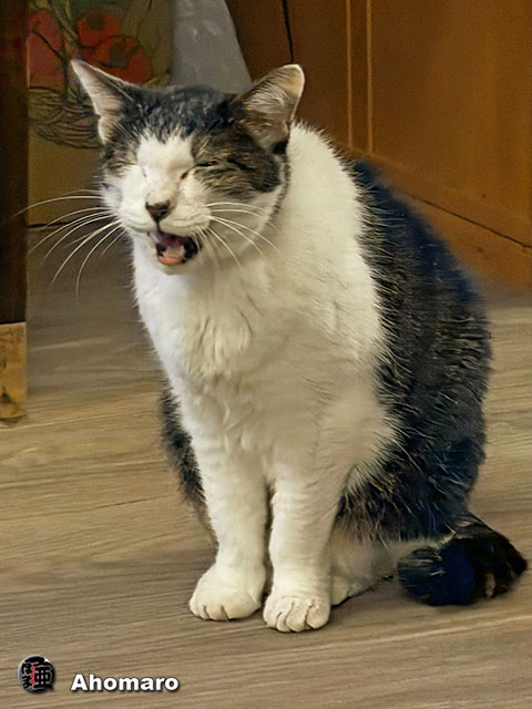 �ʐ^00