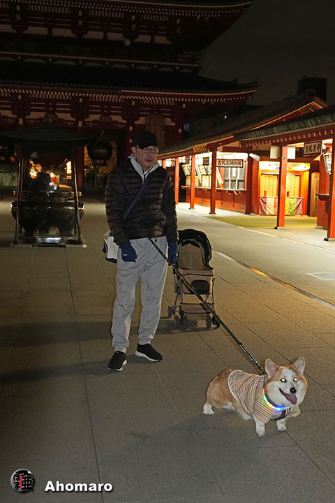 �ʐ^00