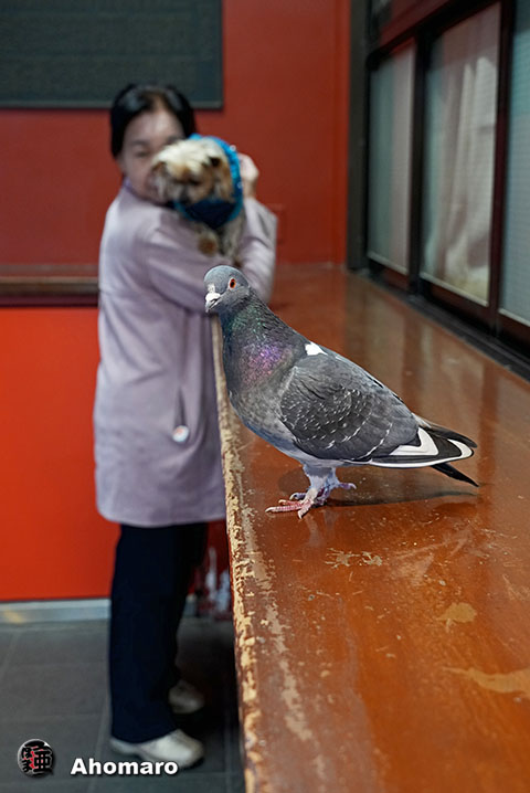 �ʐ^00