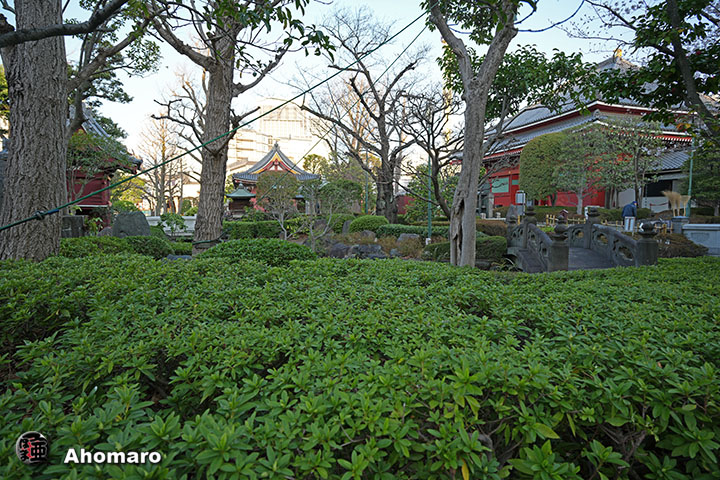 �ʐ^00