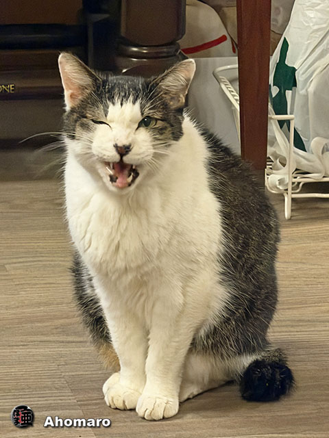 �ʐ^00