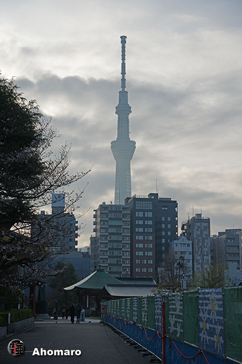 �ʐ^00