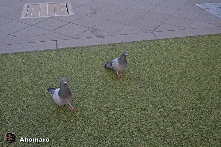 �ʐ^00