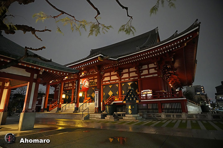 �ʐ^00