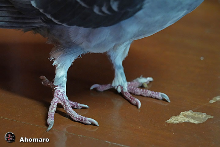 �ʐ^00