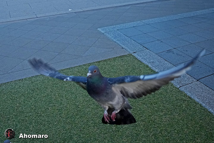 �ʐ^00