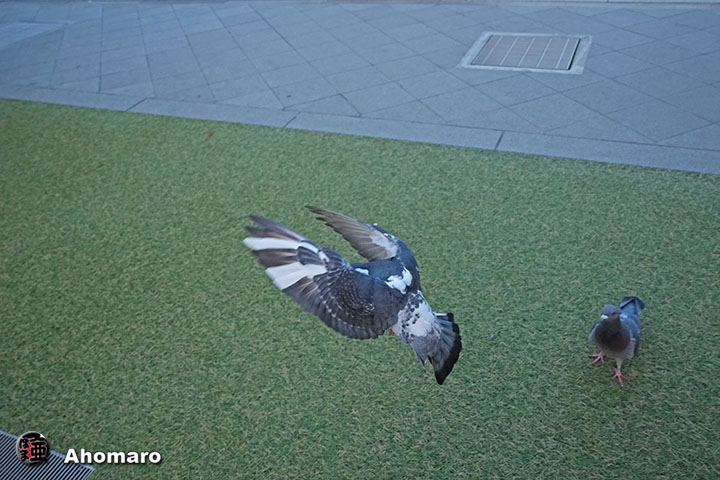 �ʐ^00