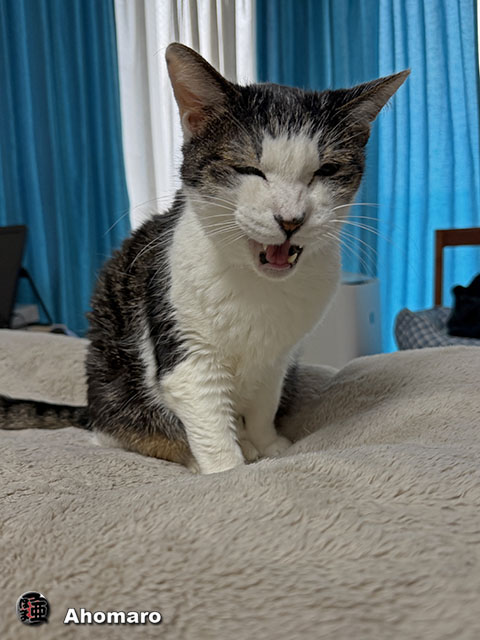 �ʐ^00
