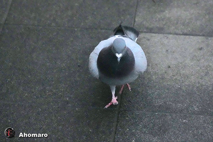 �ʐ^00