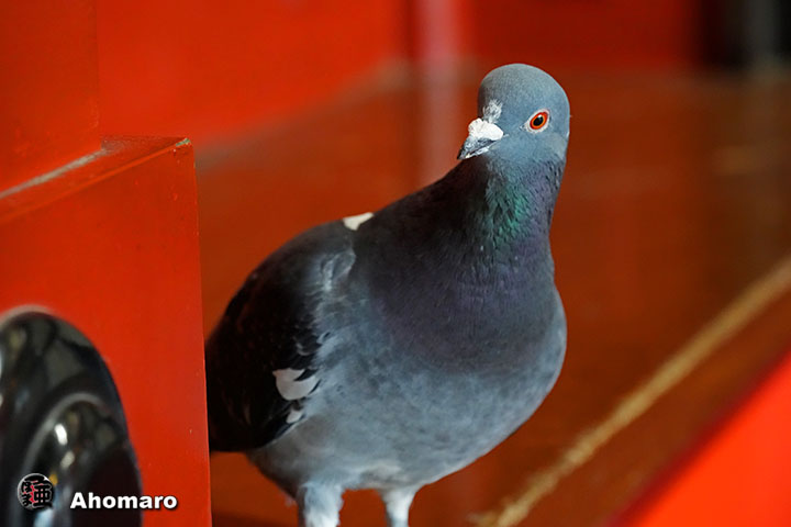 �ʐ^00