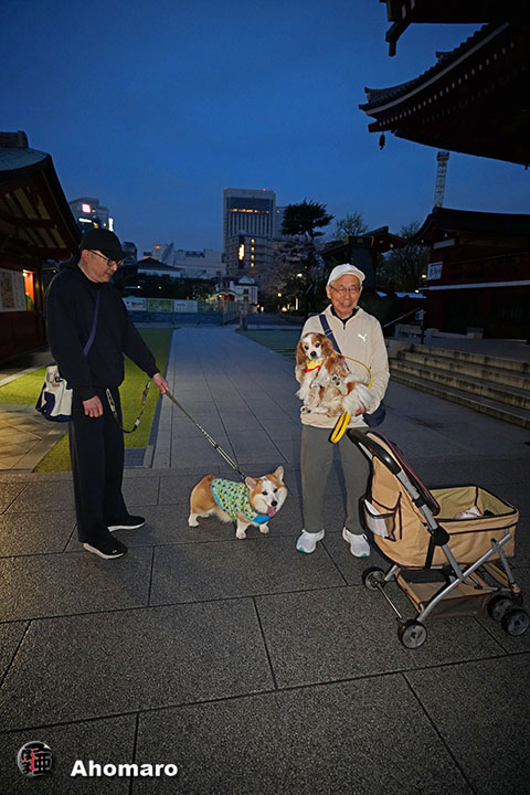 �ʐ^00