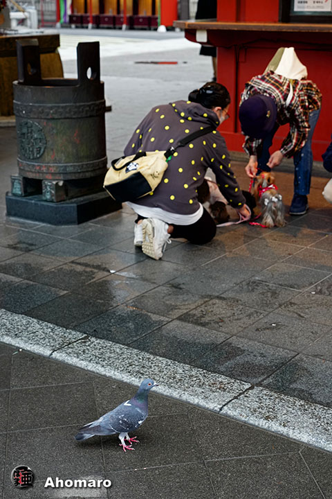 �ʐ^00
