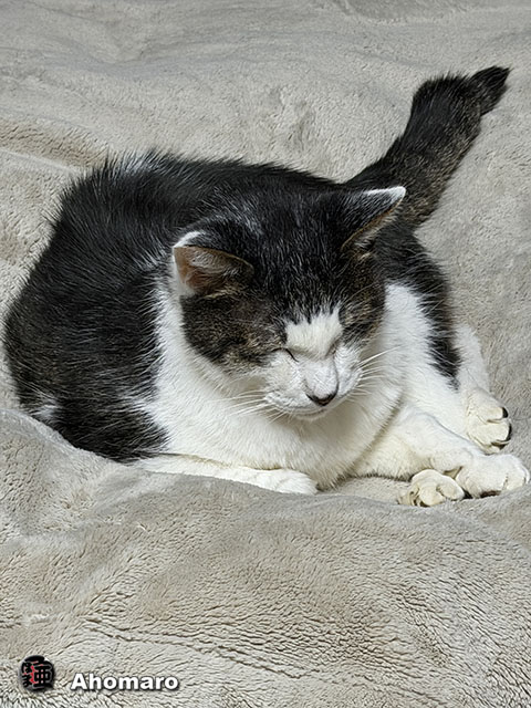 �ʐ^00