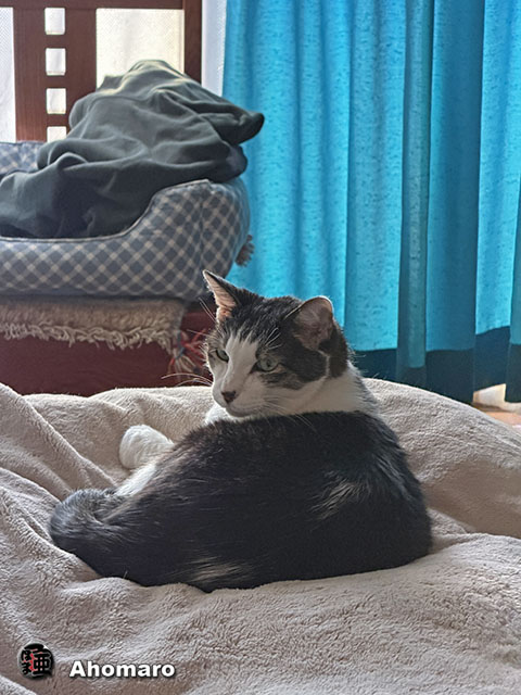 �ʐ^00