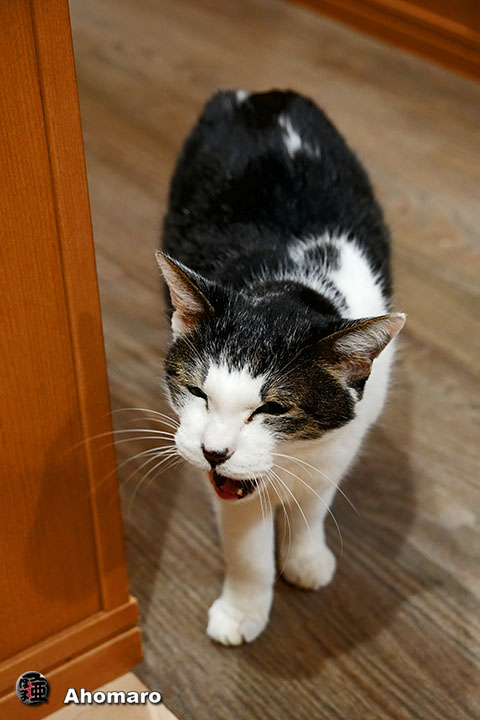 �ʐ^00