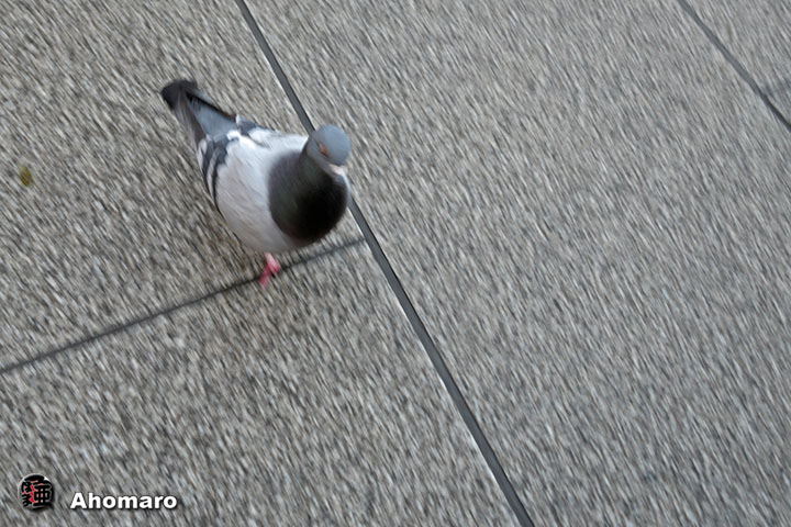 �ʐ^00