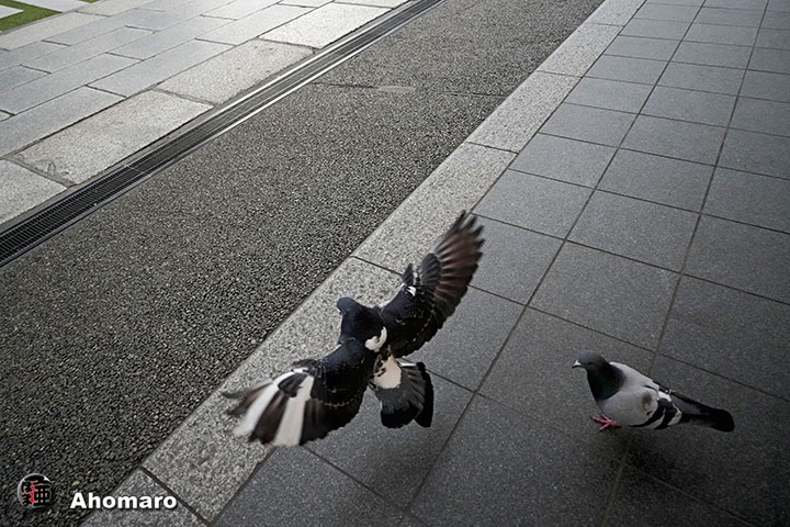 �ʐ^00